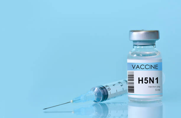 Animal Health Booster