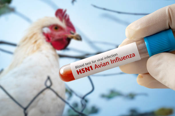 Poultry Vaccines Kit