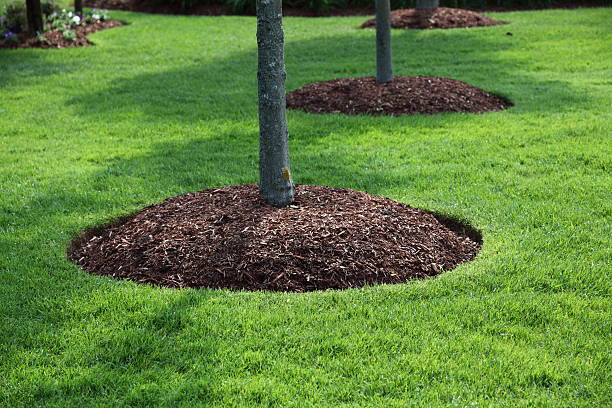 Super Grow Fertilizer